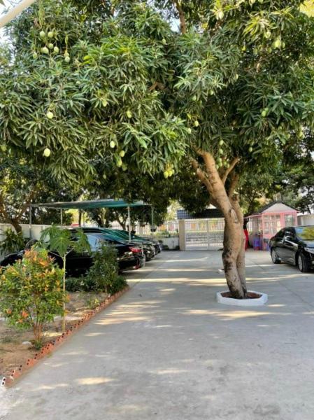 Mango Villa Long Hai Beach 외부 사진