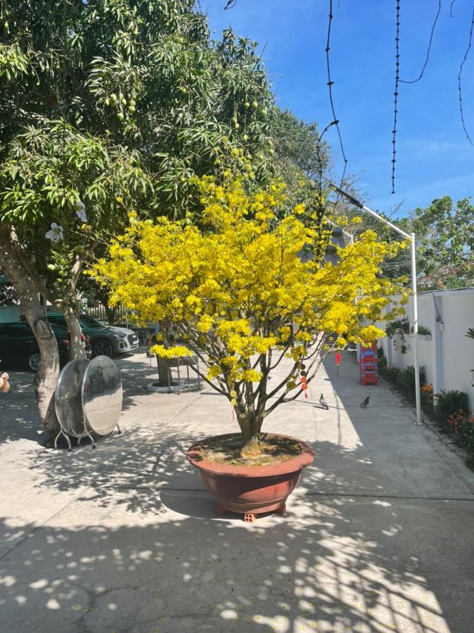 Mango Villa Long Hai Beach 외부 사진